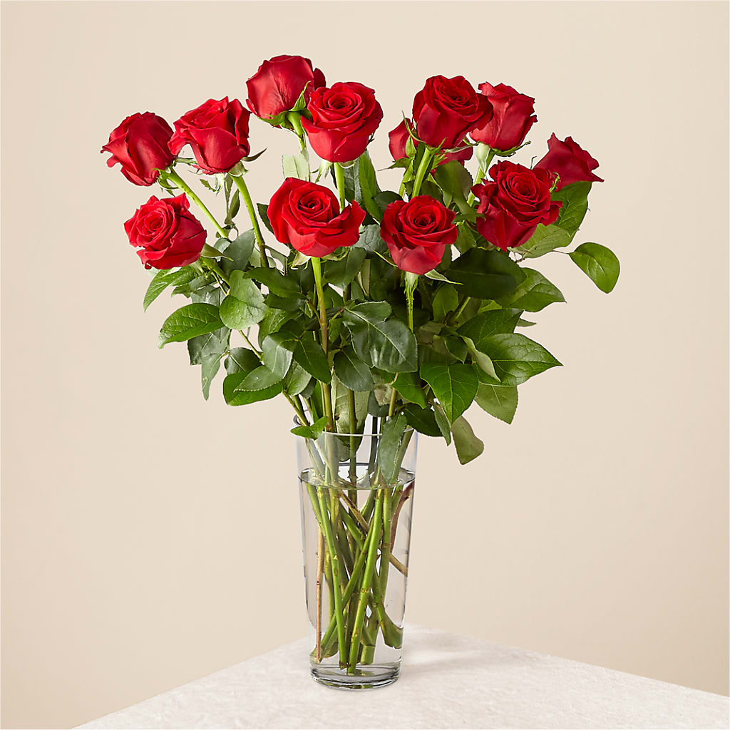 Long Stem Red Rose Bouquet – AMCS FLOWERS & PERSONAL SERVICES LLC, Chesapeake VA