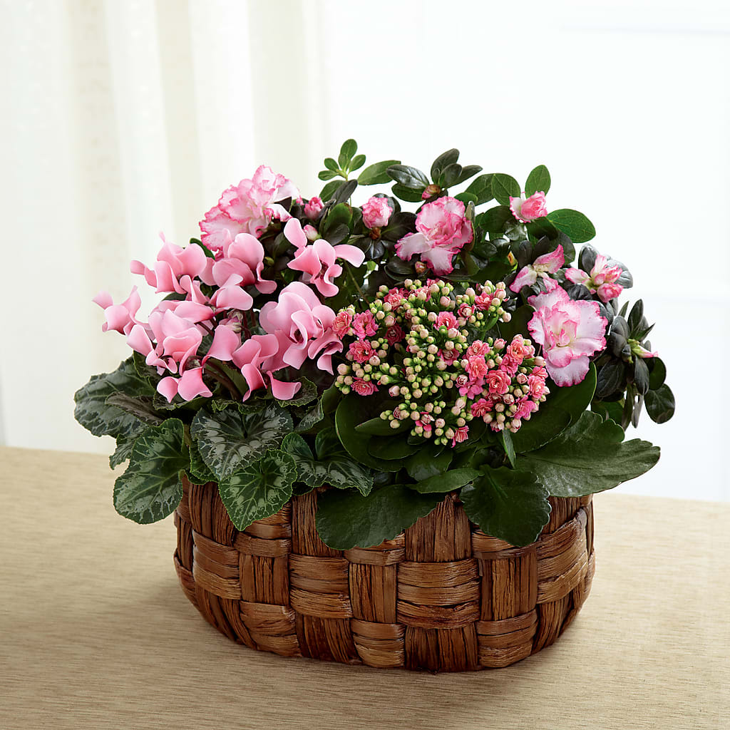 Pink Assortment – AMCS FLOWERS & PERSONAL SERVICES LLC, Chesapeake VA