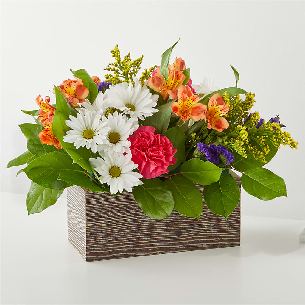 Oopsie Daisy Box Bouquet – AMCS FLOWERS & PERSONAL SERVICES LLC, Chesapeake VA