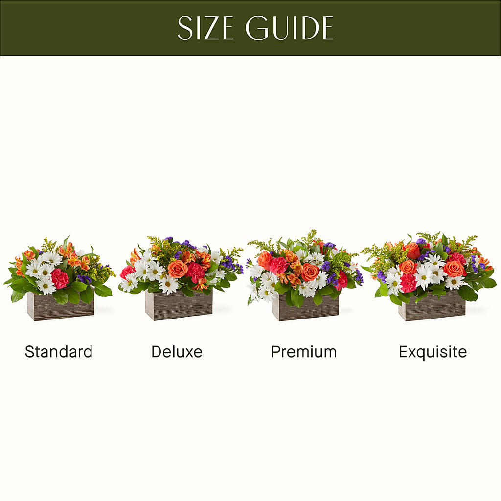 Oopsie Daisy Box Bouquet – AMCS FLOWERS & PERSONAL SERVICES LLC, Chesapeake VA