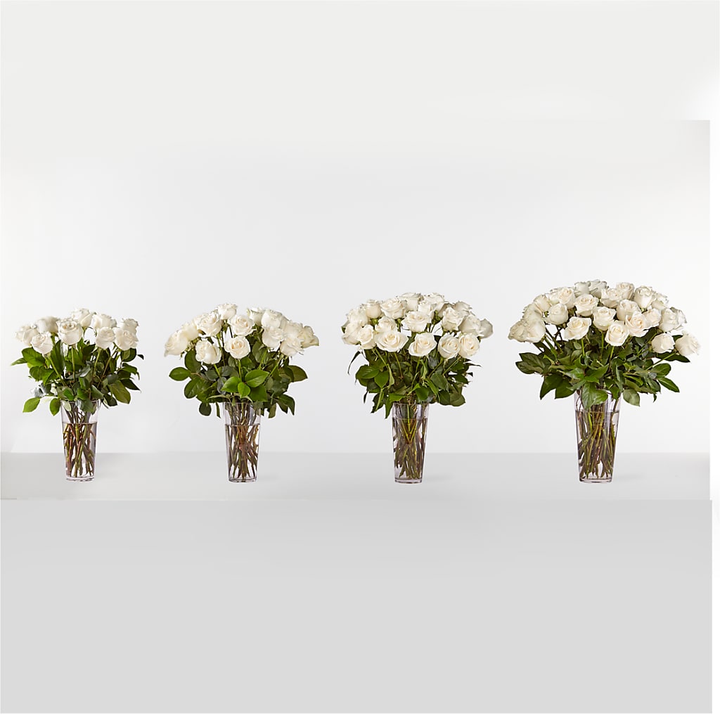 Long Stem White Rose Bouquet – AMCS FLOWERS & PERSONAL SERVICES LLC, Chesapeake VA