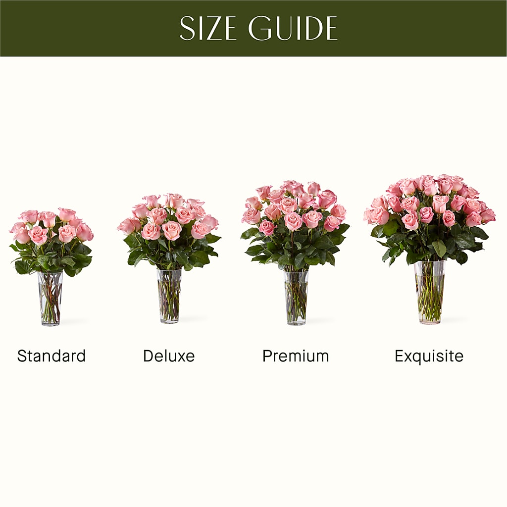 Long Stem Pink Rose Bouquet – AMCS FLOWERS & PERSONAL SERVICES LLC, Chesapeake VA