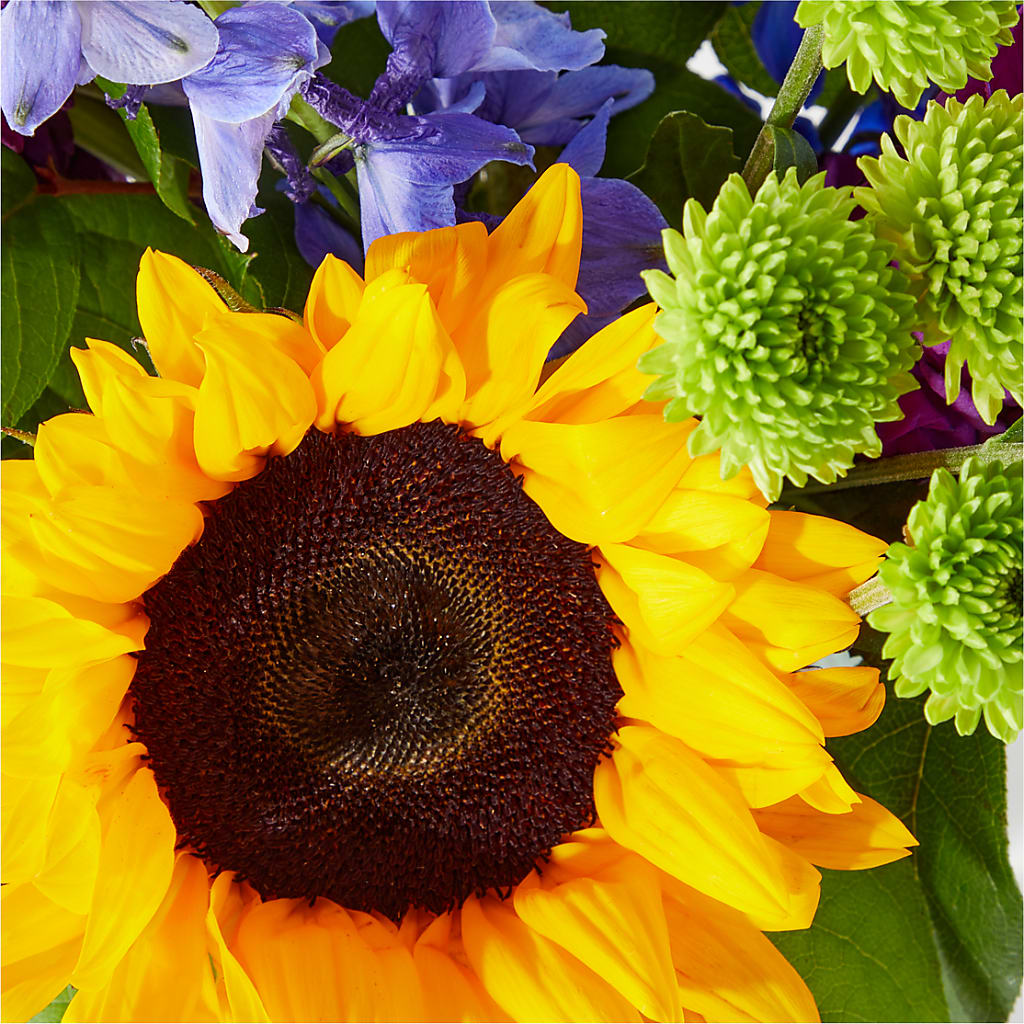 Catching Rays Bouquet – AMCS FLOWERS & PERSONAL SERVICES LLC, Chesapeake VA