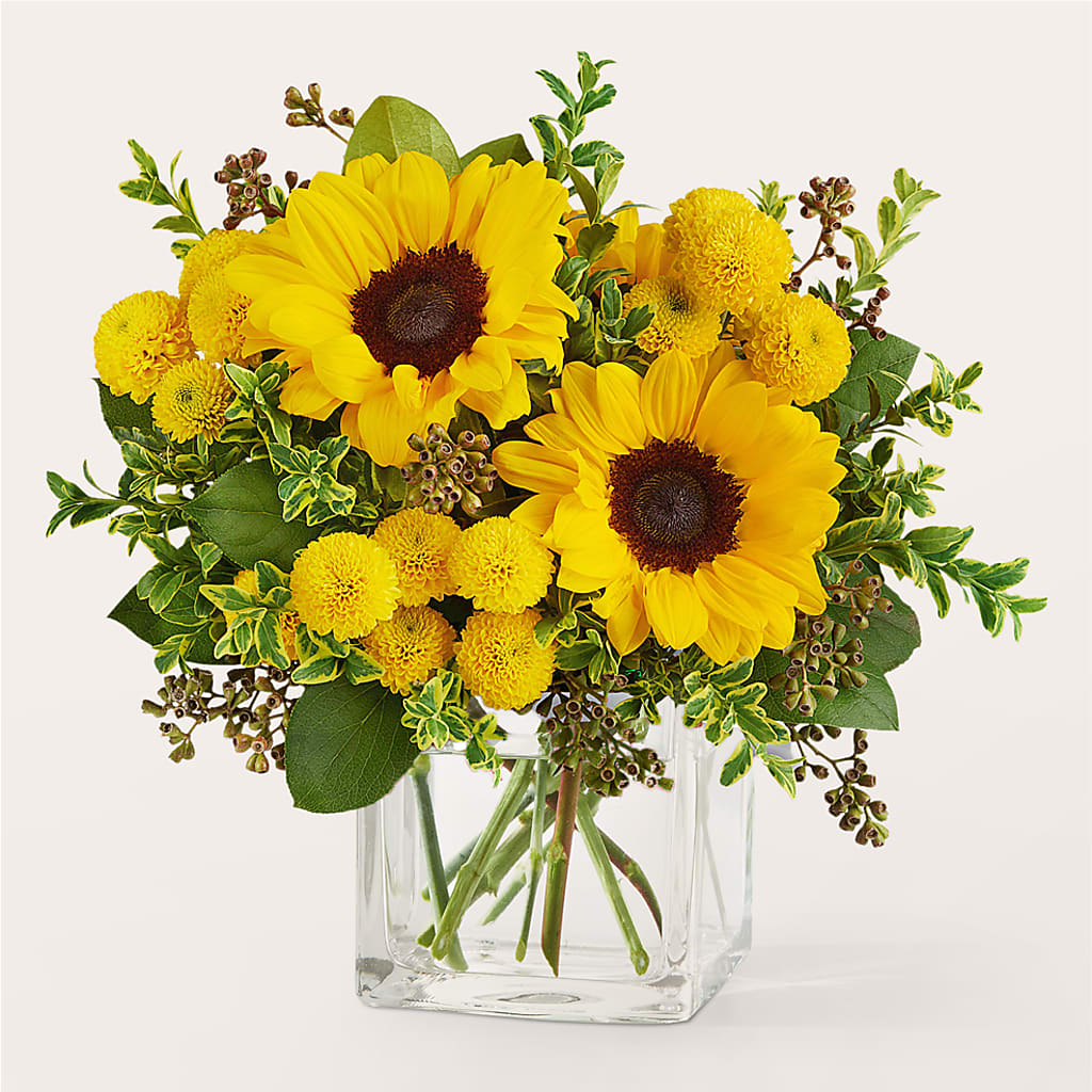 Luminous Morning Bouquet – AMCS FLOWERS & PERSONAL SERVICES LLC, Chesapeake VA
