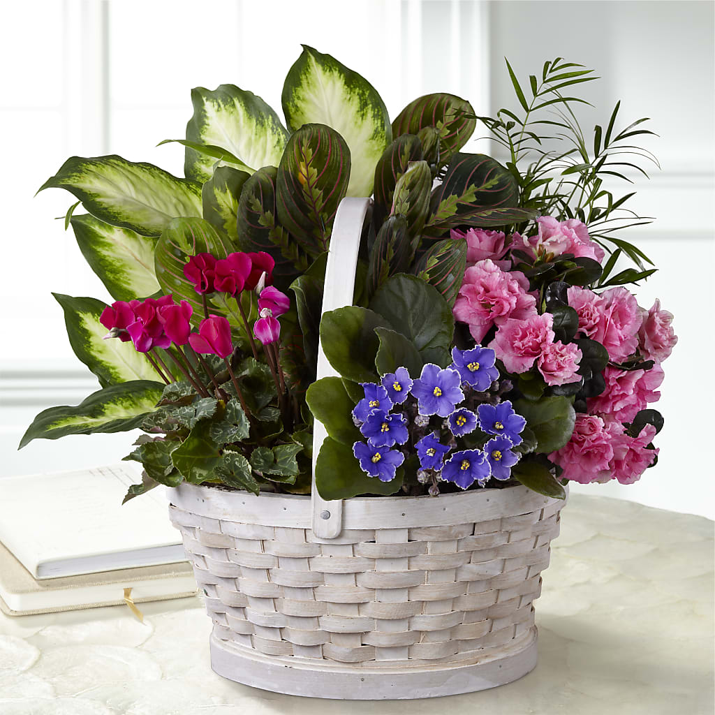 Peaceful Garden Planter – AMCS FLOWERS & PERSONAL SERVICES LLC, Chesapeake VA