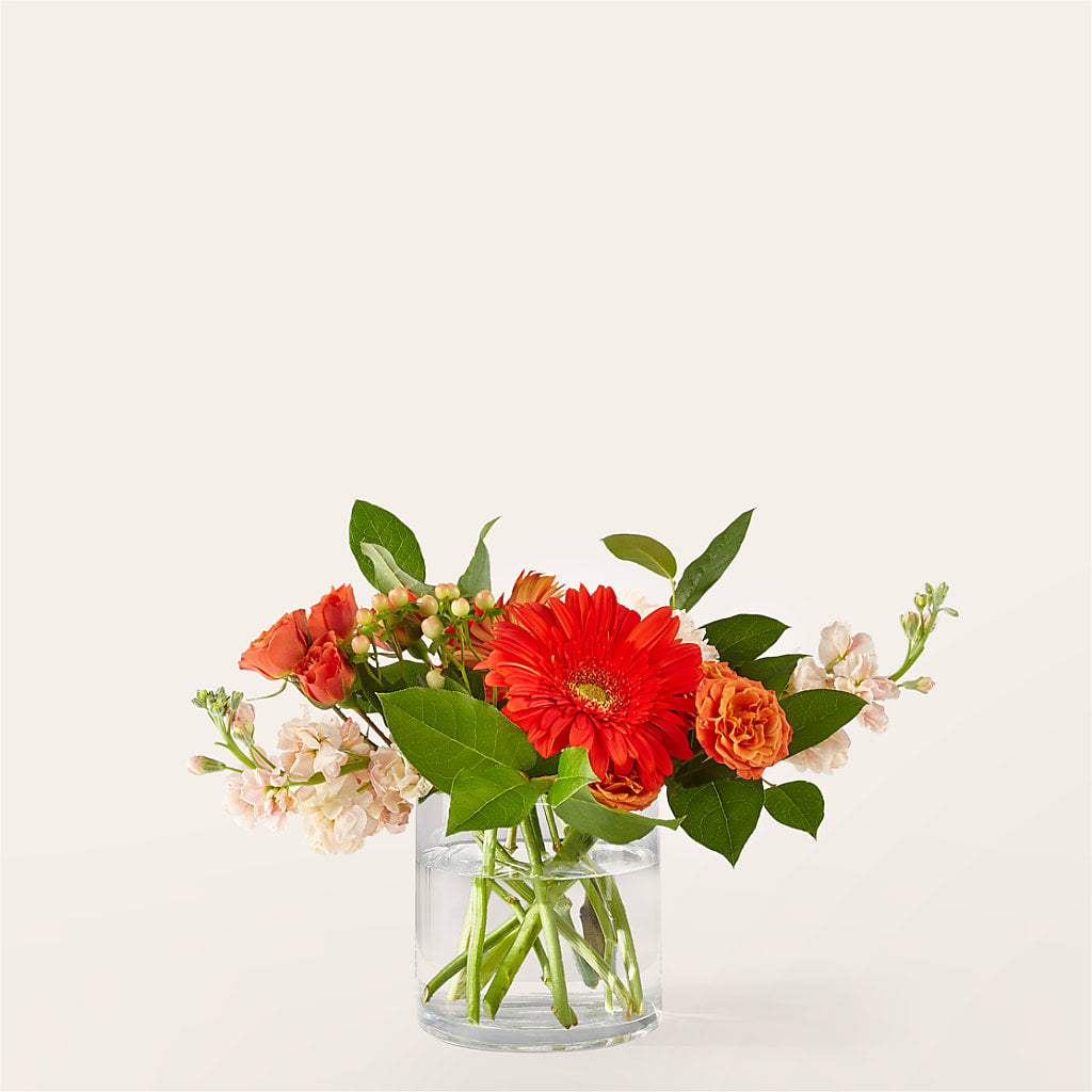 Paloma Please Bouquet – AMCS FLOWERS & PERSONAL SERVICES LLC, Chesapeake VA