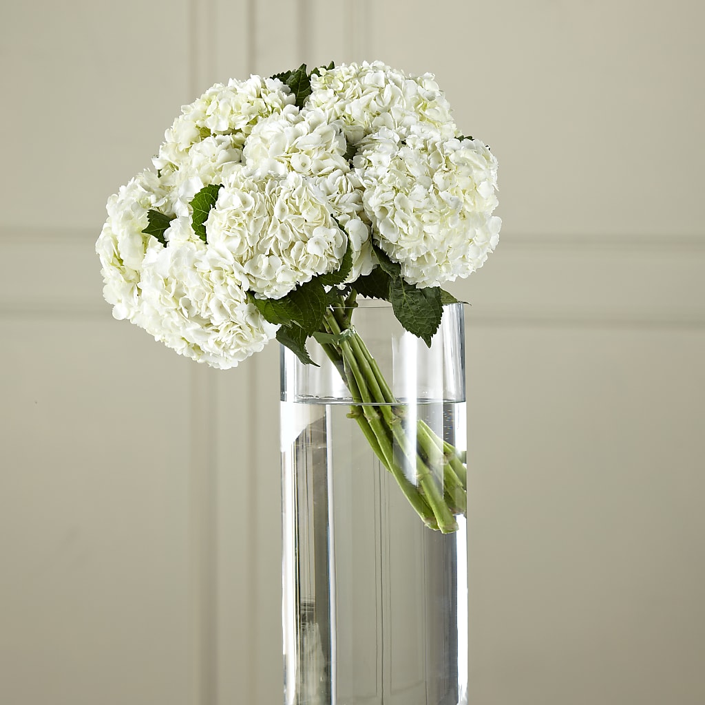 White Hydrangea Hand-Tied Bouquet – AMCS FLOWERS & PERSONAL SERVICES LLC, Chesapeake VA