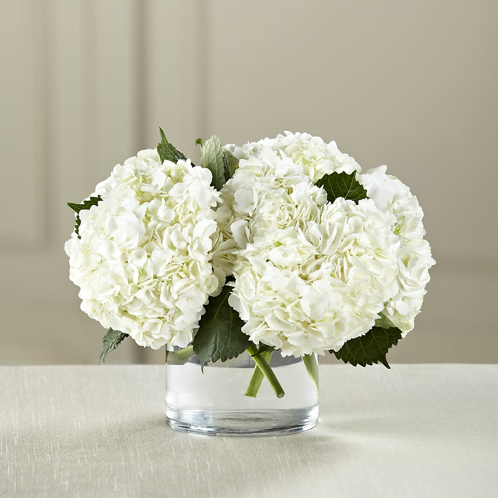 White Hydrangea Bouquet – AMCS FLOWERS & PERSONAL SERVICES LLC, Chesapeake VA