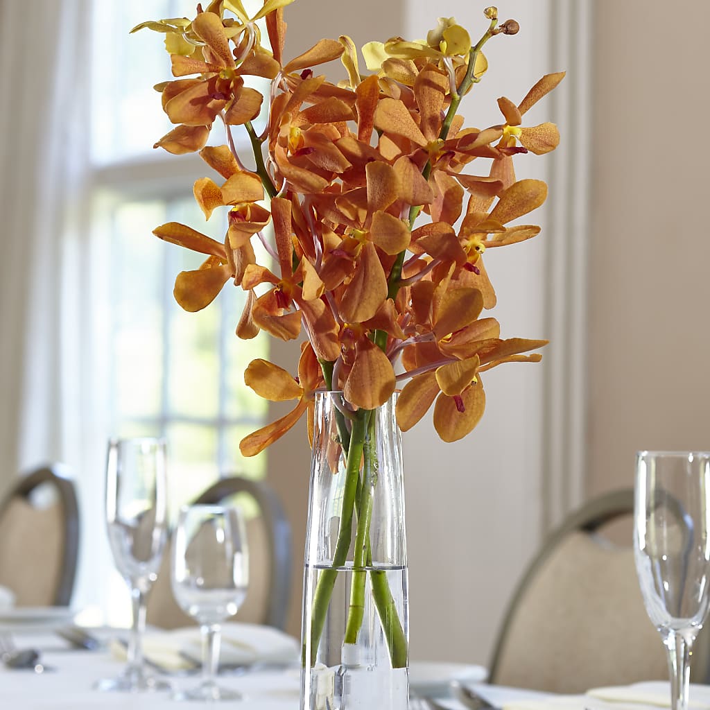Orange Mokara Bud Vase – AMCS FLOWERS & PERSONAL SERVICES LLC, Chesapeake VA