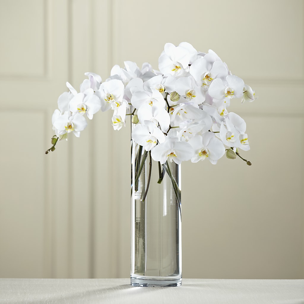 White Phalaenopsis Bouquet – AMCS FLOWERS & PERSONAL SERVICES LLC, Chesapeake VA