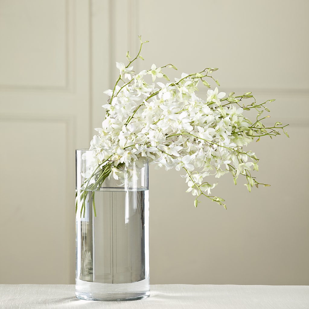 White Dendrobium Bouquet – AMCS FLOWERS & PERSONAL SERVICES LLC, Chesapeake VA