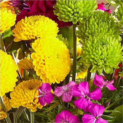 Bold & Bright – A Florist Original – AMCS FLOWERS & PERSONAL SERVICES LLC, Chesapeake VA