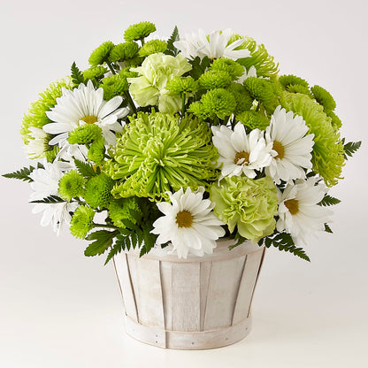 Lucky Charm Basket (Standard) – AMCS FLOWERS & PERSONAL SERVICES LLC, Chesapeake VA