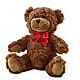 Adorable Plush Bear – AMCS FLOWERS & PERSONAL SERVICES LLC, Chesapeake VA