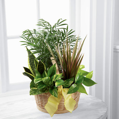 French Garden – AMCS FLOWERS & PERSONAL SERVICES LLC, Chesapeake VA