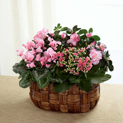 Pink Assortment – AMCS FLOWERS & PERSONAL SERVICES LLC, Chesapeake VA