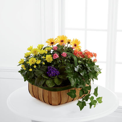 Gentle Blossoms Basket – AMCS FLOWERS & PERSONAL SERVICES LLC, Chesapeake VA