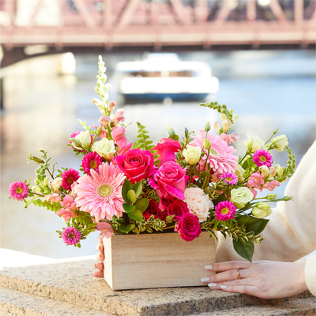 Too Cute Bouquet – AMCS FLOWERS & PERSONAL SERVICES LLC, Chesapeake VA