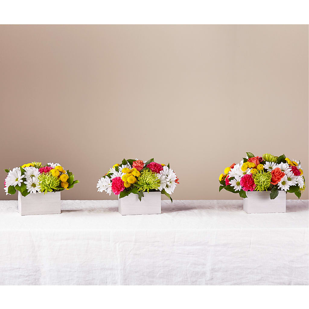 Sorbet Bouquet – AMCS FLOWERS & PERSONAL SERVICES LLC, Chesapeake VA
