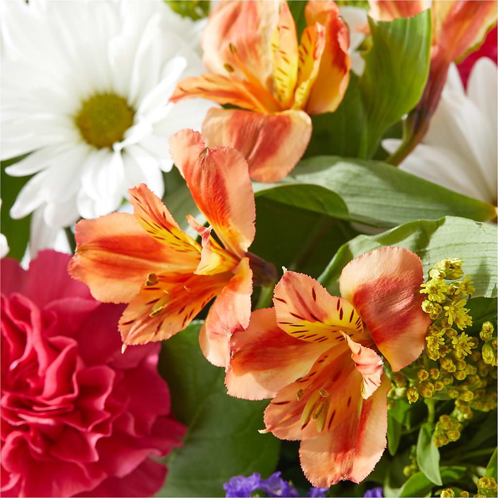 Oopsie Daisy Box Bouquet – AMCS FLOWERS & PERSONAL SERVICES LLC, Chesapeake VA