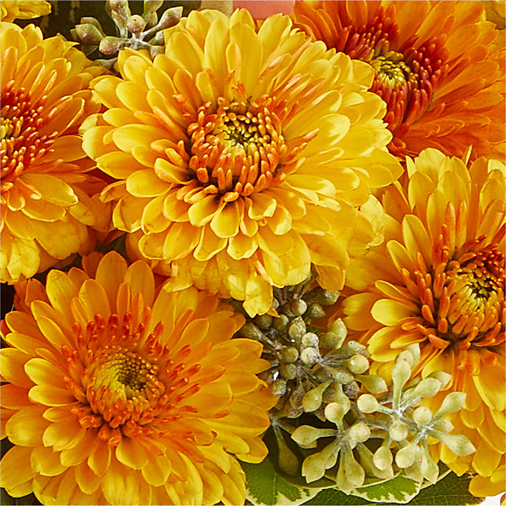 Peachy Pumpkin – AMCS FLOWERS & PERSONAL SERVICES LLC, Chesapeake VA