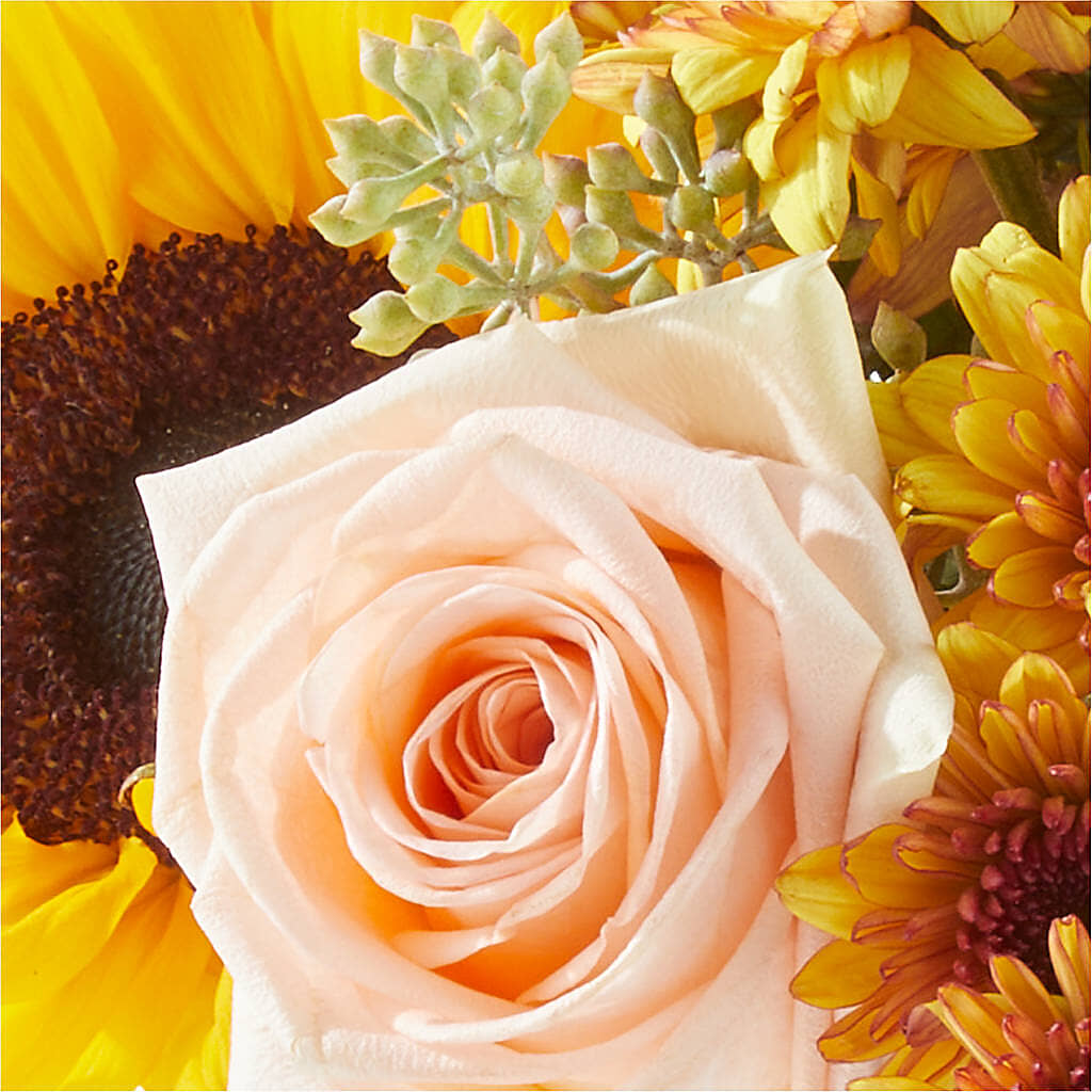 Pumpkin to Talk About Bouquet – AMCS FLOWERS & PERSONAL SERVICES LLC, Chesapeake VA