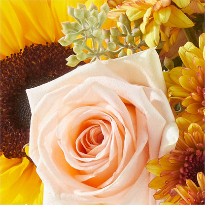 Pumpkin to Talk About Bouquet – AMCS FLOWERS & PERSONAL SERVICES LLC, Chesapeake VA
