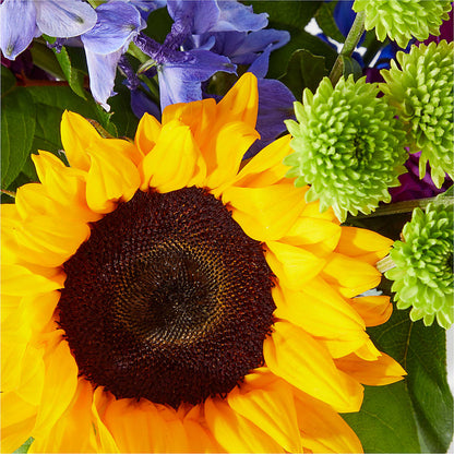Catching Rays Bouquet – AMCS FLOWERS & PERSONAL SERVICES LLC, Chesapeake VA