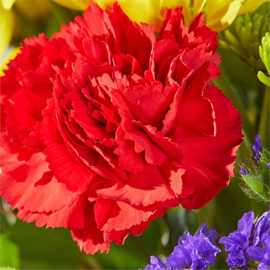 Brighter Days Bouquet – AMCS FLOWERS & PERSONAL SERVICES LLC, Chesapeake VA