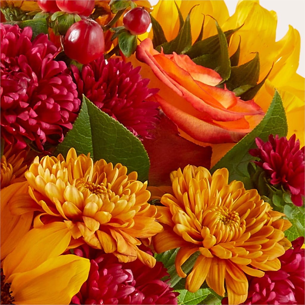 Sweater Season - A Florist Original – AMCS FLOWERS & PERSONAL SERVICES LLC, Chesapeake VA