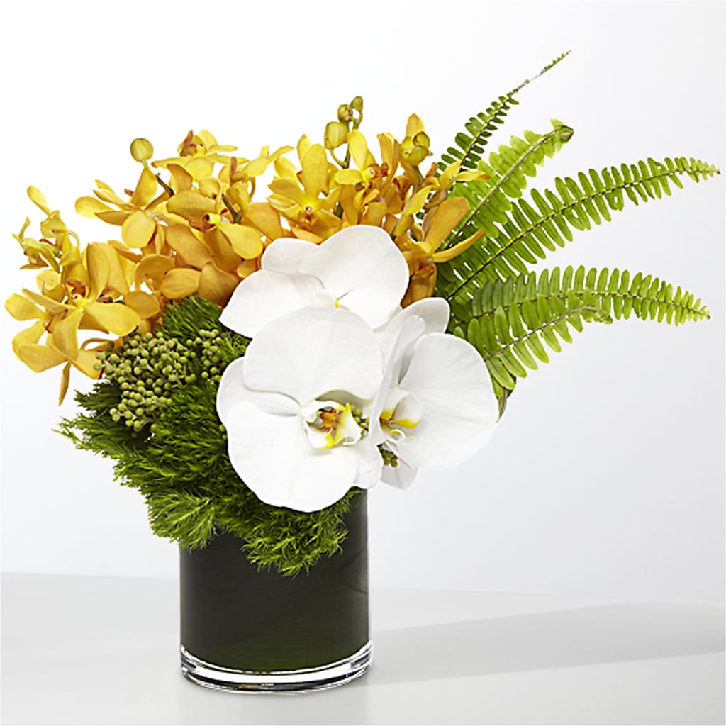 The Tropics – AMCS FLOWERS & PERSONAL SERVICES LLC, Chesapeake VA