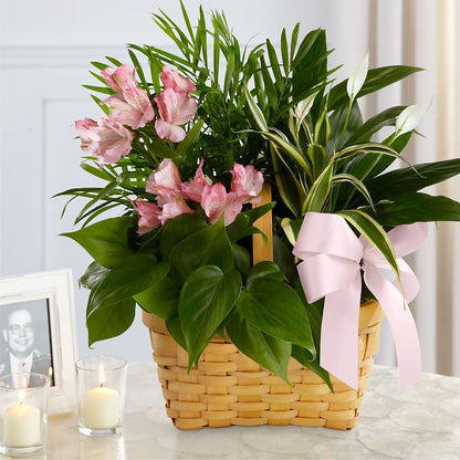 Living Spirit Dishgarden – AMCS FLOWERS & PERSONAL SERVICES LLC, Chesapeake VA
