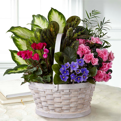Peaceful Garden Planter – AMCS FLOWERS & PERSONAL SERVICES LLC, Chesapeake VA