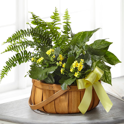 Always Dear Dishgarden – AMCS FLOWERS & PERSONAL SERVICES LLC, Chesapeake VA