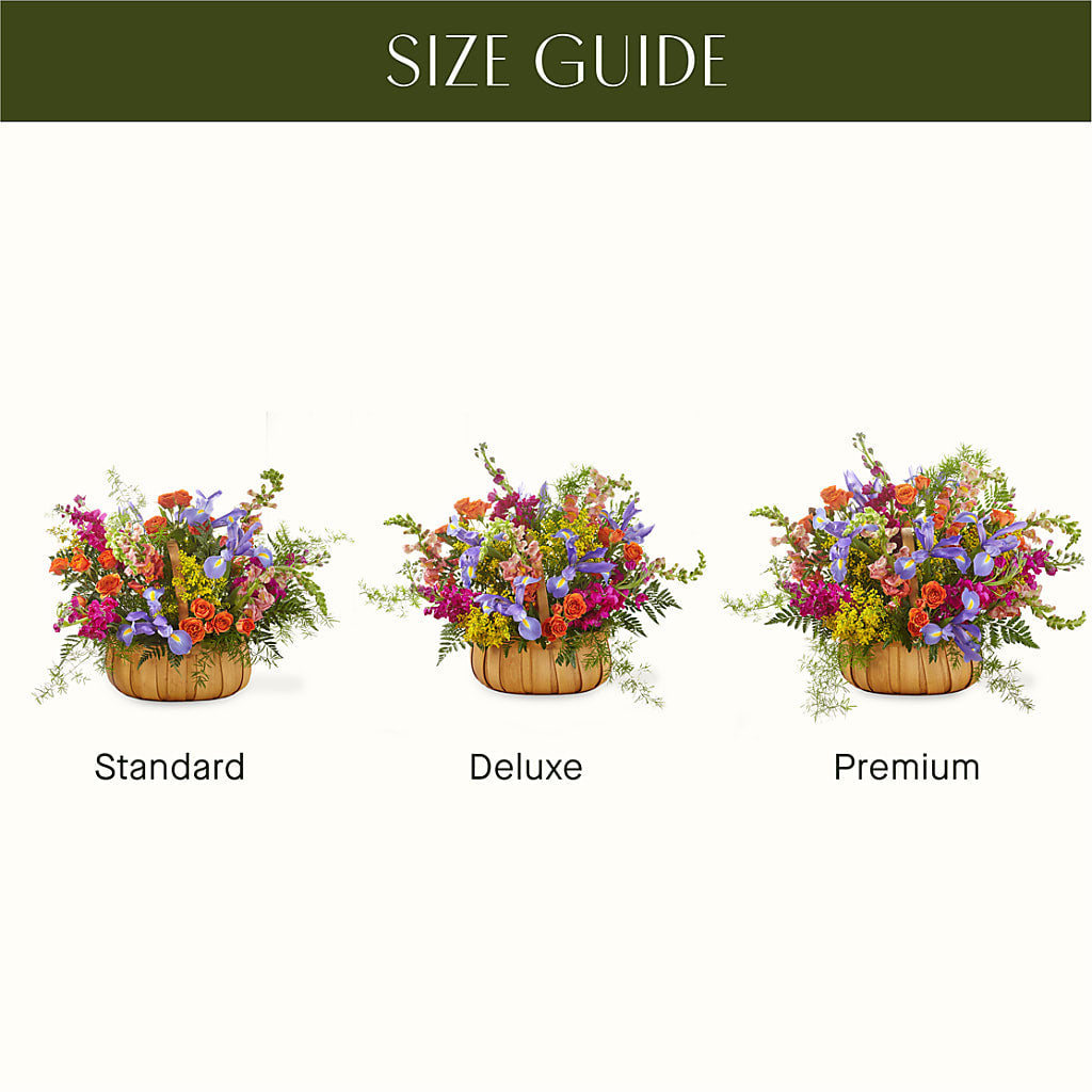 Garden of Life Basket – AMCS FLOWERS & PERSONAL SERVICES LLC, Chesapeake VA