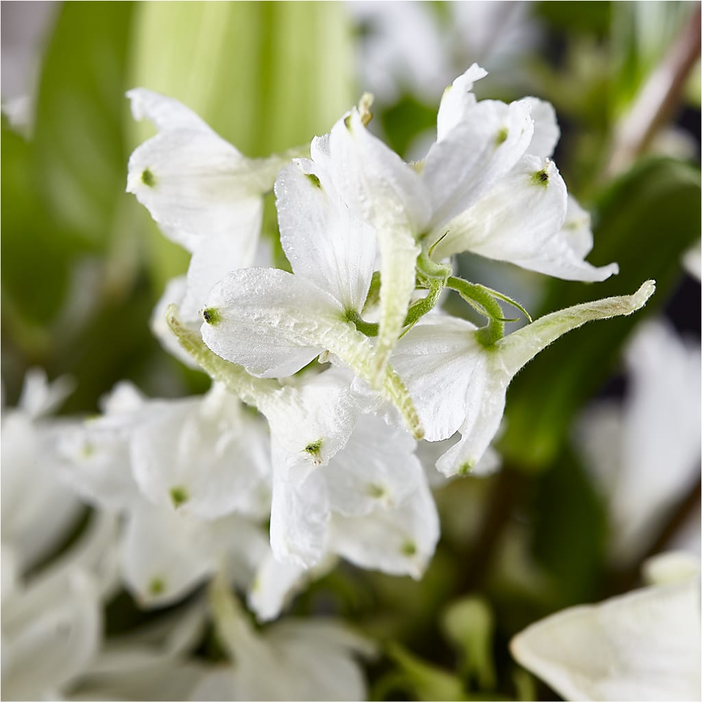 Classic Ivory – A Florist Original – AMCS FLOWERS & PERSONAL SERVICES LLC, Chesapeake VA