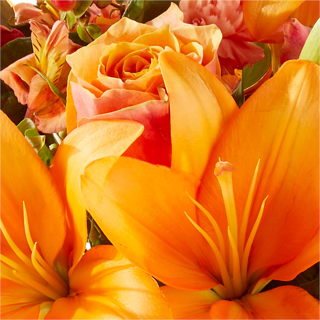 Afternoon Light Bouquet – AMCS FLOWERS & PERSONAL SERVICES LLC, Chesapeake VA