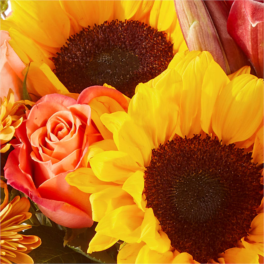 Acorn Lane Bouquet – AMCS FLOWERS & PERSONAL SERVICES LLC, Chesapeake VA