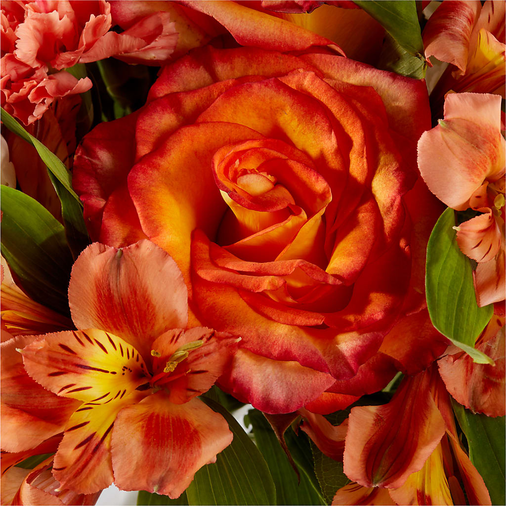 Apricot Glow Bouquet – AMCS FLOWERS & PERSONAL SERVICES LLC, Chesapeake VA