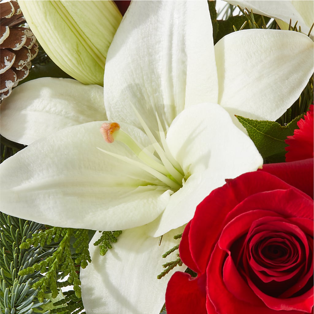 Oh So Jolly Bouquet – AMCS FLOWERS & PERSONAL SERVICES LLC, Chesapeake VA