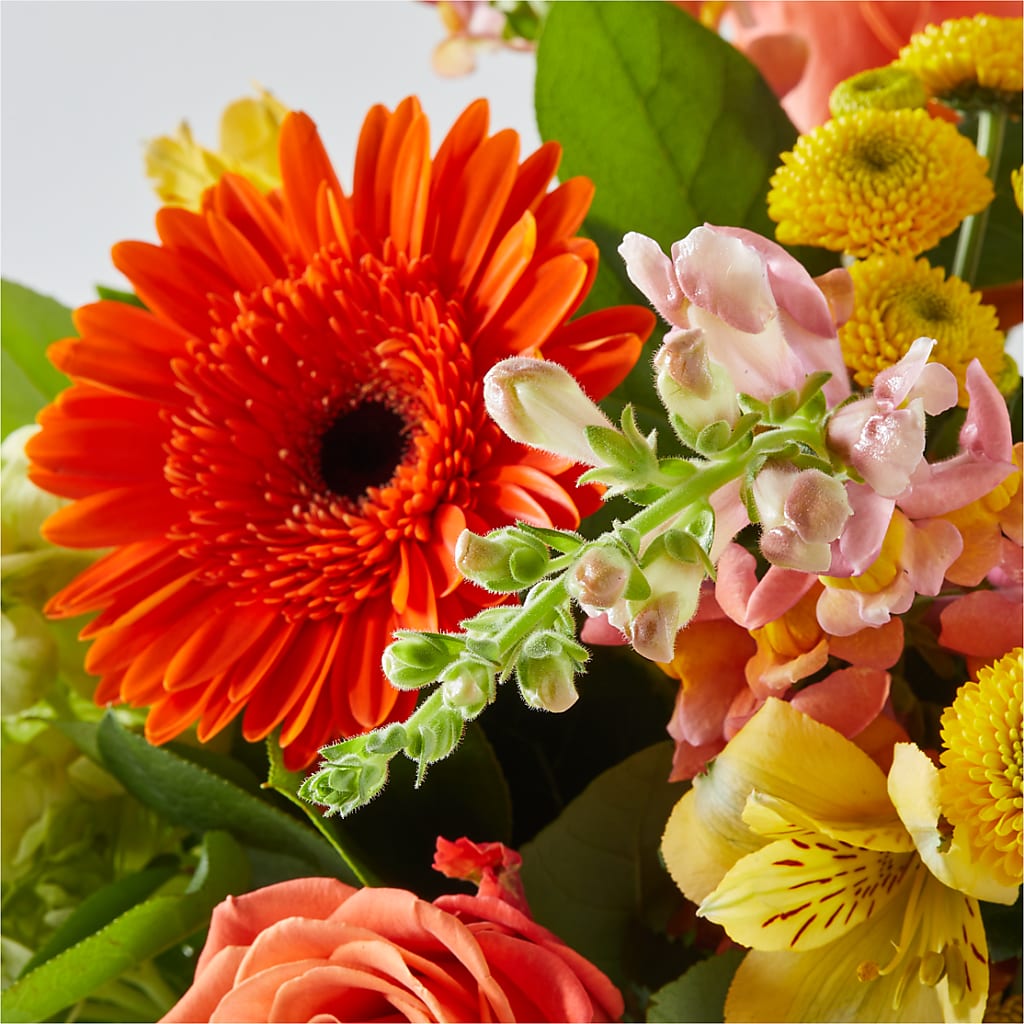 Autumn Sunshine Bouquet – AMCS FLOWERS & PERSONAL SERVICES LLC, Chesapeake VA
