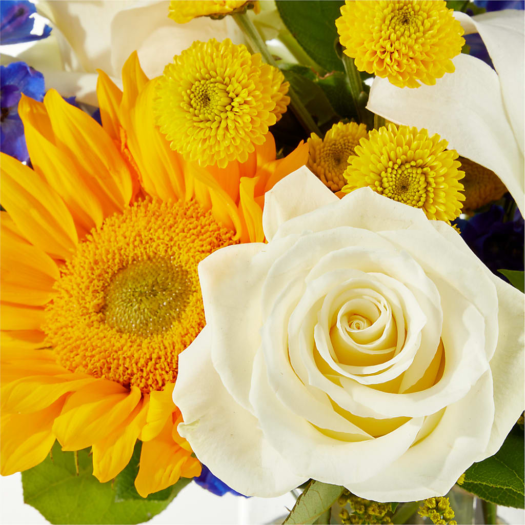 Stargazing Bouquet – AMCS FLOWERS & PERSONAL SERVICES LLC, Chesapeake VA