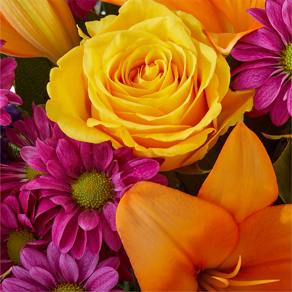 Colorful Visions Bouquet – AMCS FLOWERS & PERSONAL SERVICES LLC, Chesapeake VA