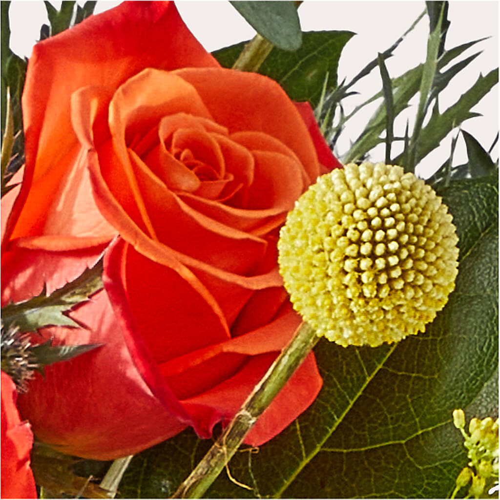 Disco Bouquet – AMCS FLOWERS & PERSONAL SERVICES LLC, Chesapeake VA