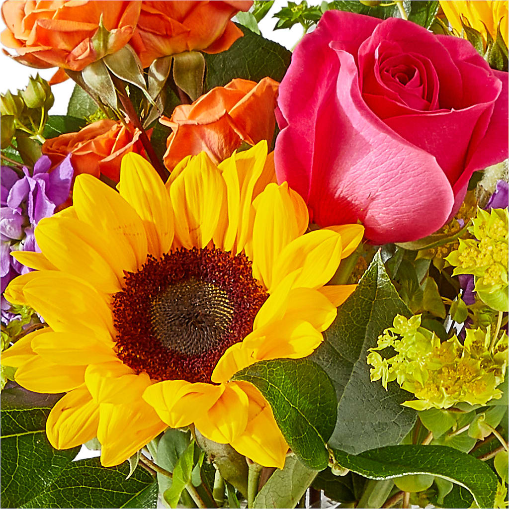Vibrant Greetings Bouquet – AMCS FLOWERS & PERSONAL SERVICES LLC, Chesapeake VA