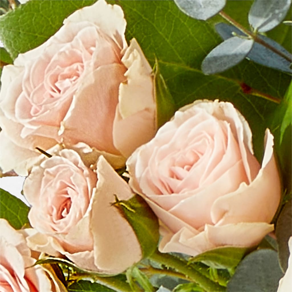 Inspired Bouquet – AMCS FLOWERS & PERSONAL SERVICES LLC, Chesapeake VA
