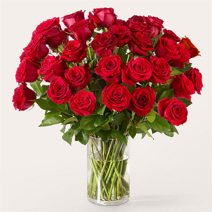 The One Red Rose Bouquet – AMCS FLOWERS & PERSONAL SERVICES LLC, Chesapeake VA