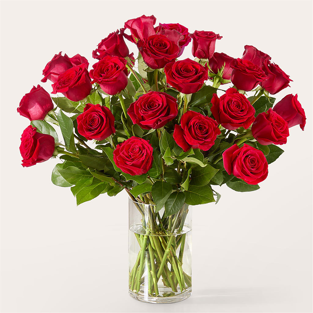 The One Red Rose Bouquet – AMCS FLOWERS & PERSONAL SERVICES LLC, Chesapeake VA