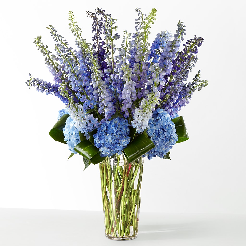 The Editorial – AMCS FLOWERS & PERSONAL SERVICES LLC, Chesapeake VA