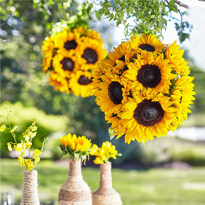 Sublime Garden Hanging Arrangement – AMCS FLOWERS & PERSONAL SERVICES LLC, Chesapeake VA